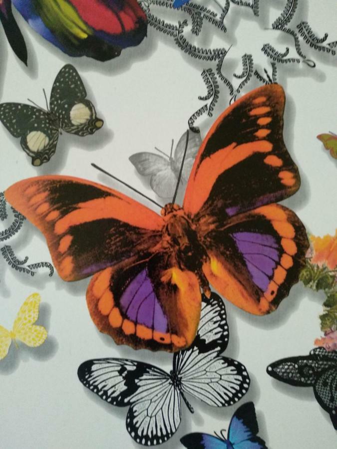 Sevilla Butterfly Suites エクステリア 写真